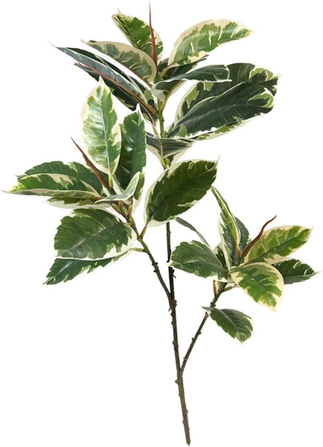 Rubber Plant Ficus - Ficus Tineke Künstliche Pflanze, 71,3 cm,