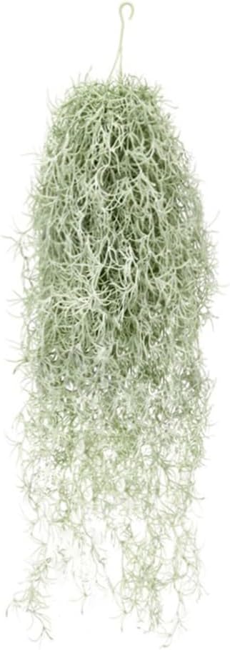 Air Plant Tillandsia - Künstliche Beflockung von Tillandsia-Luftpflanzen, 78,9 cm,
