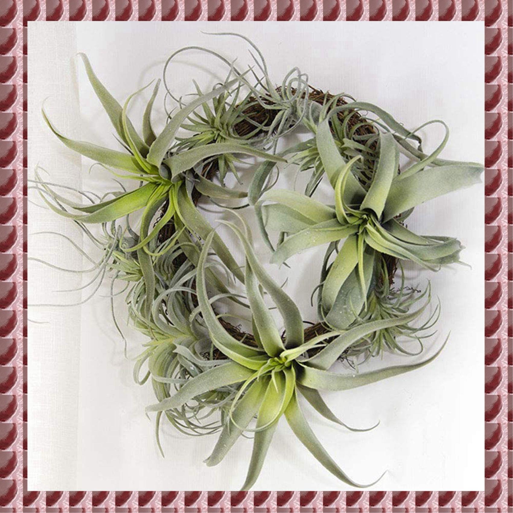 Air Plant Tillandsia - A95G 16 Stück künstliche Ananas-Gras-Luftpflanzen, künstliche