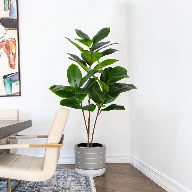 Rubber Plant Ficus - 51in tropischen großen gefälschten Banyan Pflanzen