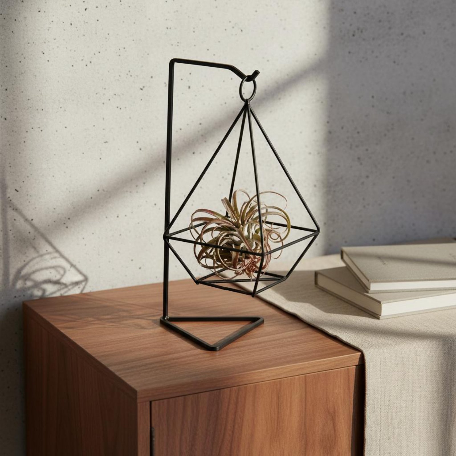 Air Plant Tillandsia - Geometrischer Luftpflanzenhalter Minimalistisches Design Luftpflanzenhalter Geometrischer