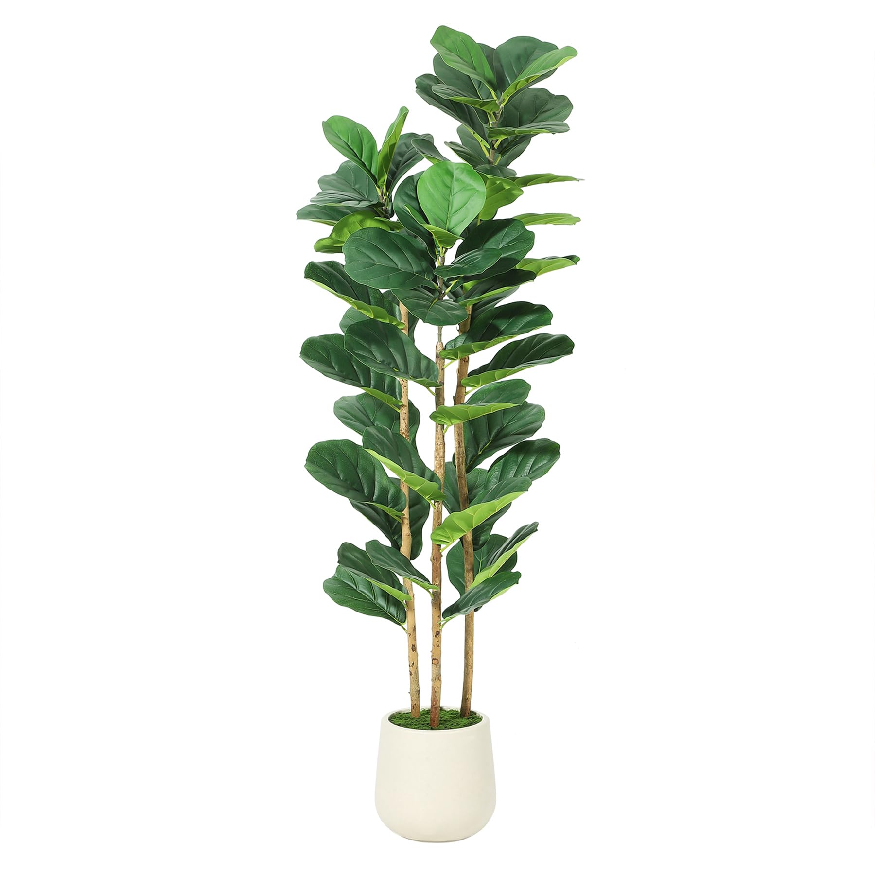 Künstlicher Geigenblatt-Feigen – Rubber Plant Ficus Bewertung und Preis