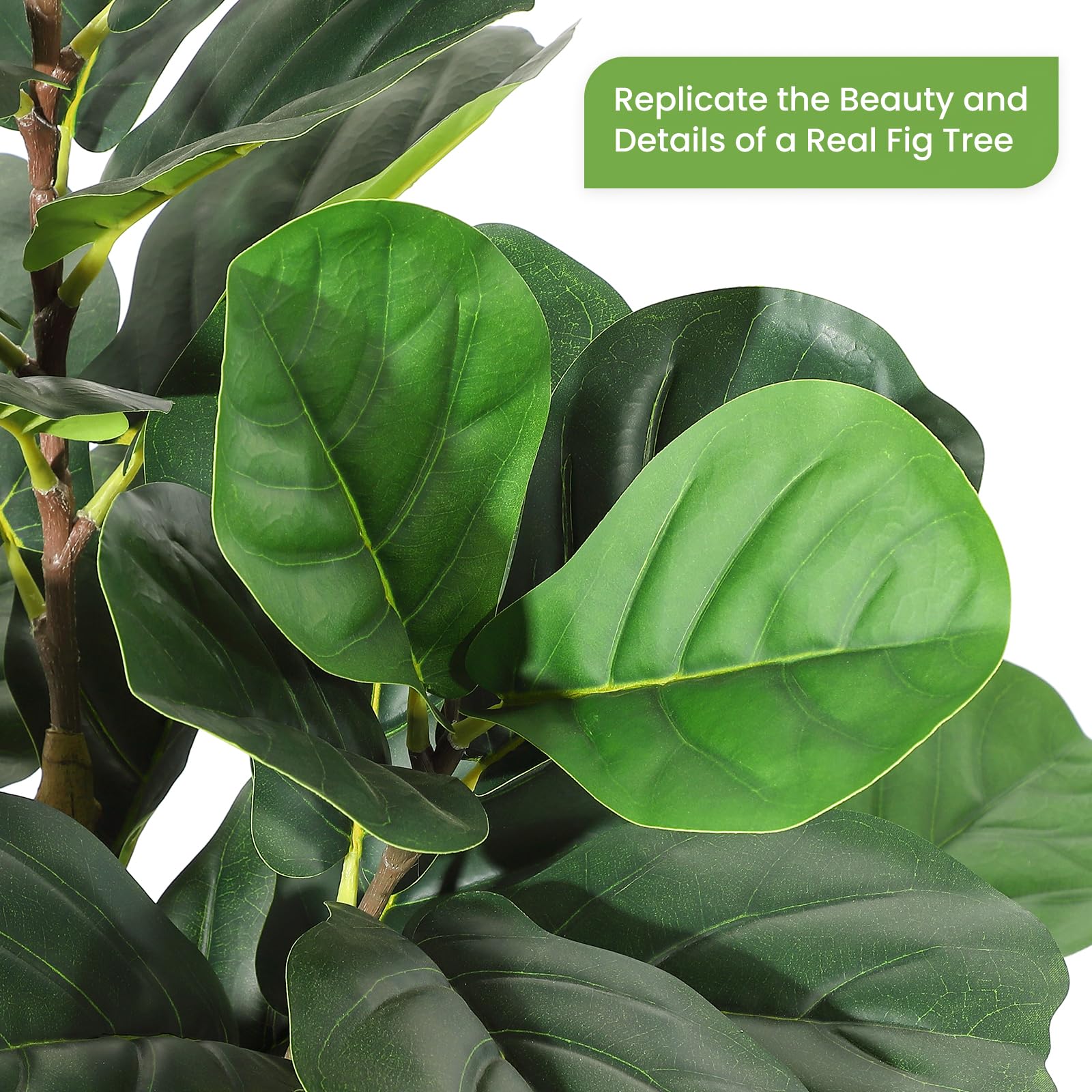 Künstlicher Geigenblatt-Feigen – Rubber Plant Ficus Bewertung und Preis