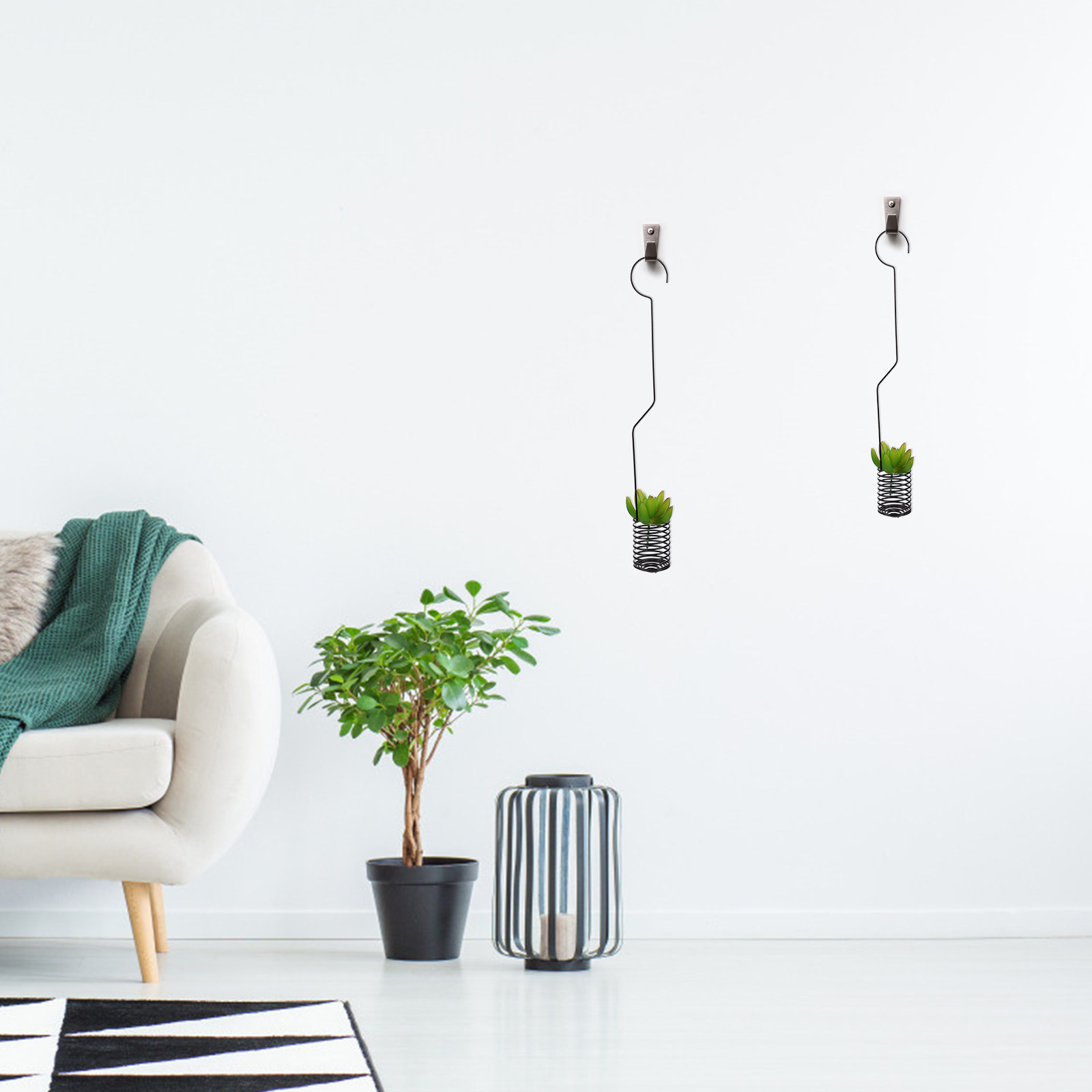 1 Stück Künstlerischer Pflanze – Air Plant Tillandsia Bewertung und Preis