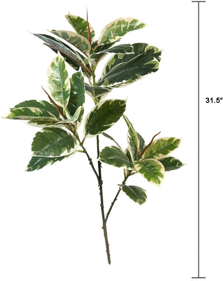 Ficus Tineke Künstliche Pflanz – Rubber Plant Ficus Bewertung und Preis