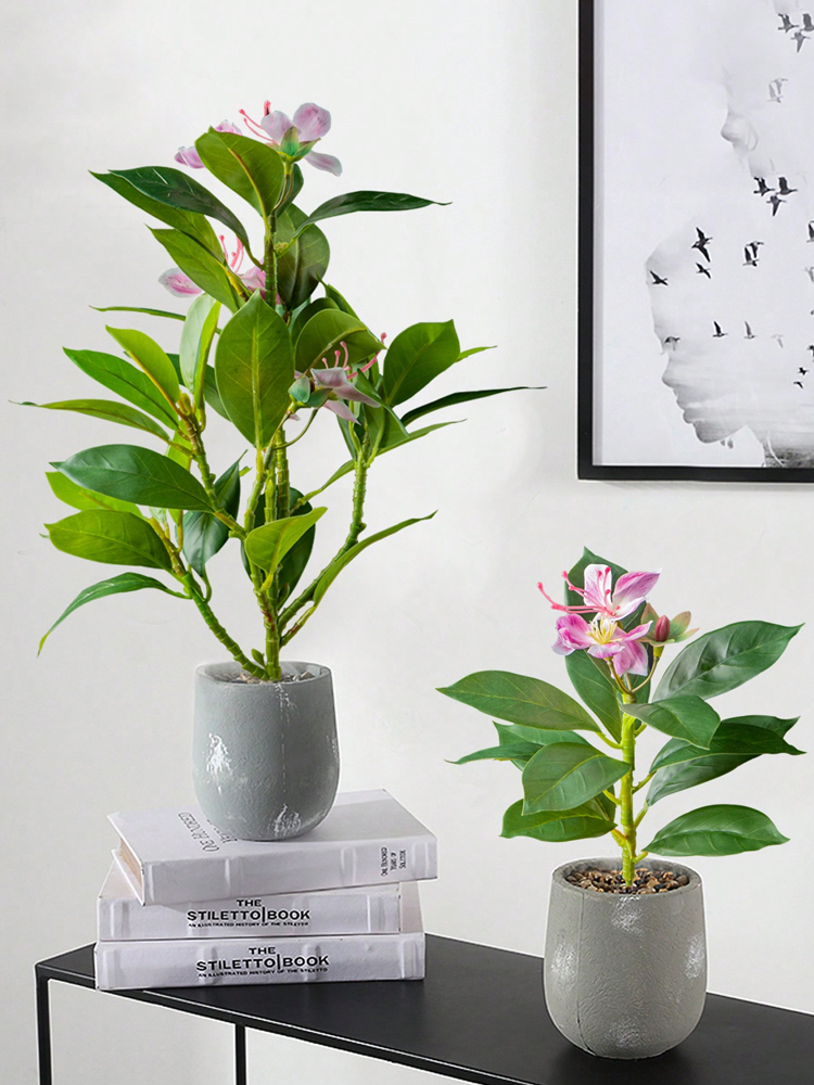 21–40 cm künstliche Azaleen-Pf – Rubber Plant Ficus Bewertung und Preis