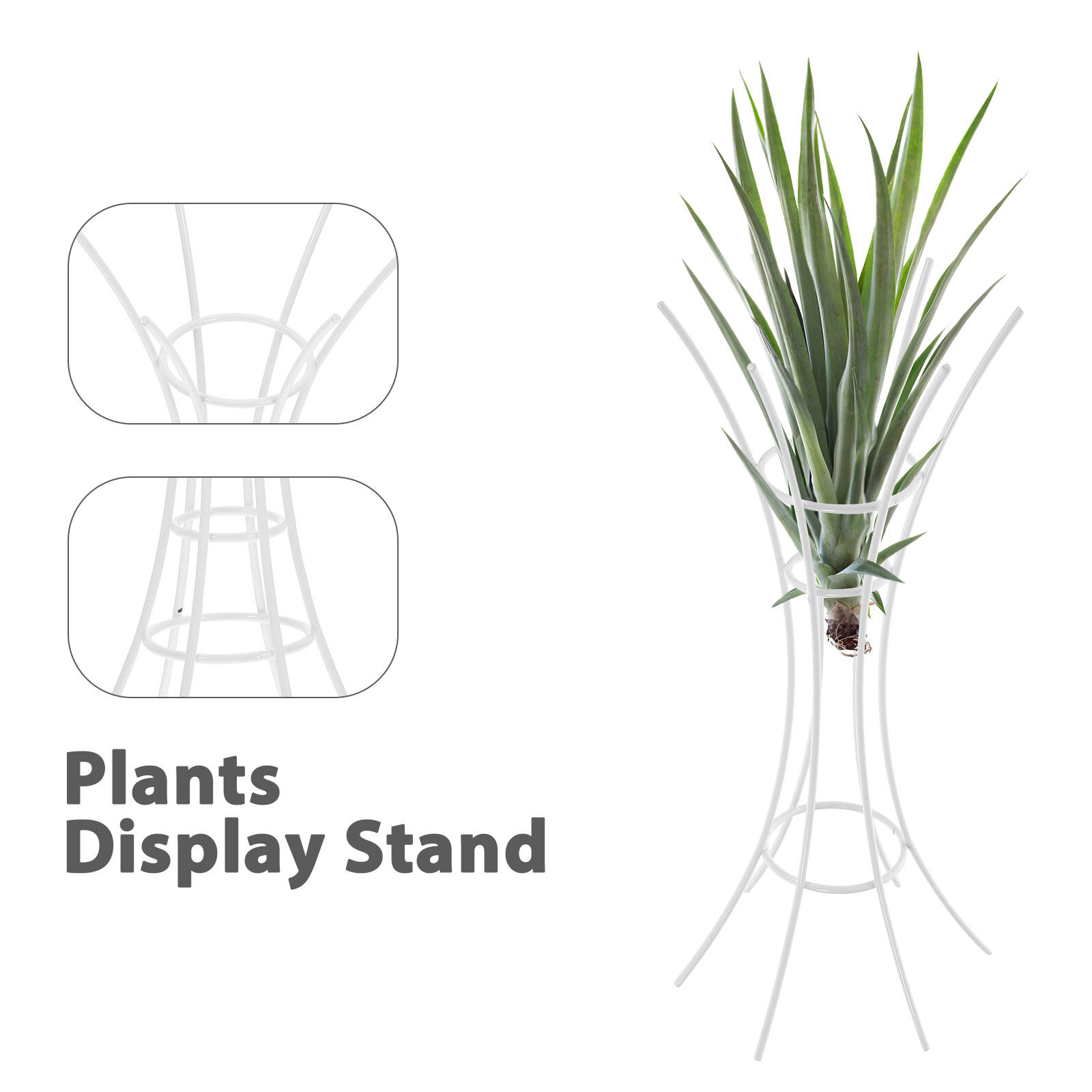 Luftpflanzenständer aus Metall – Air Plant Tillandsia Bewertung und Preis