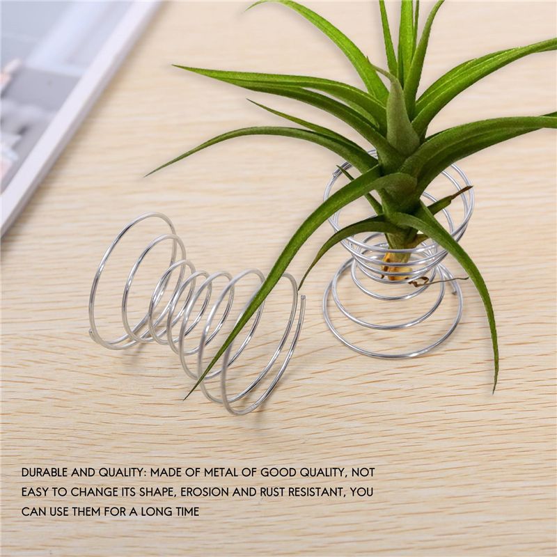 Bestseller - 6-teiliges Set Lu – Air Plant Tillandsia Bewertung und Preis