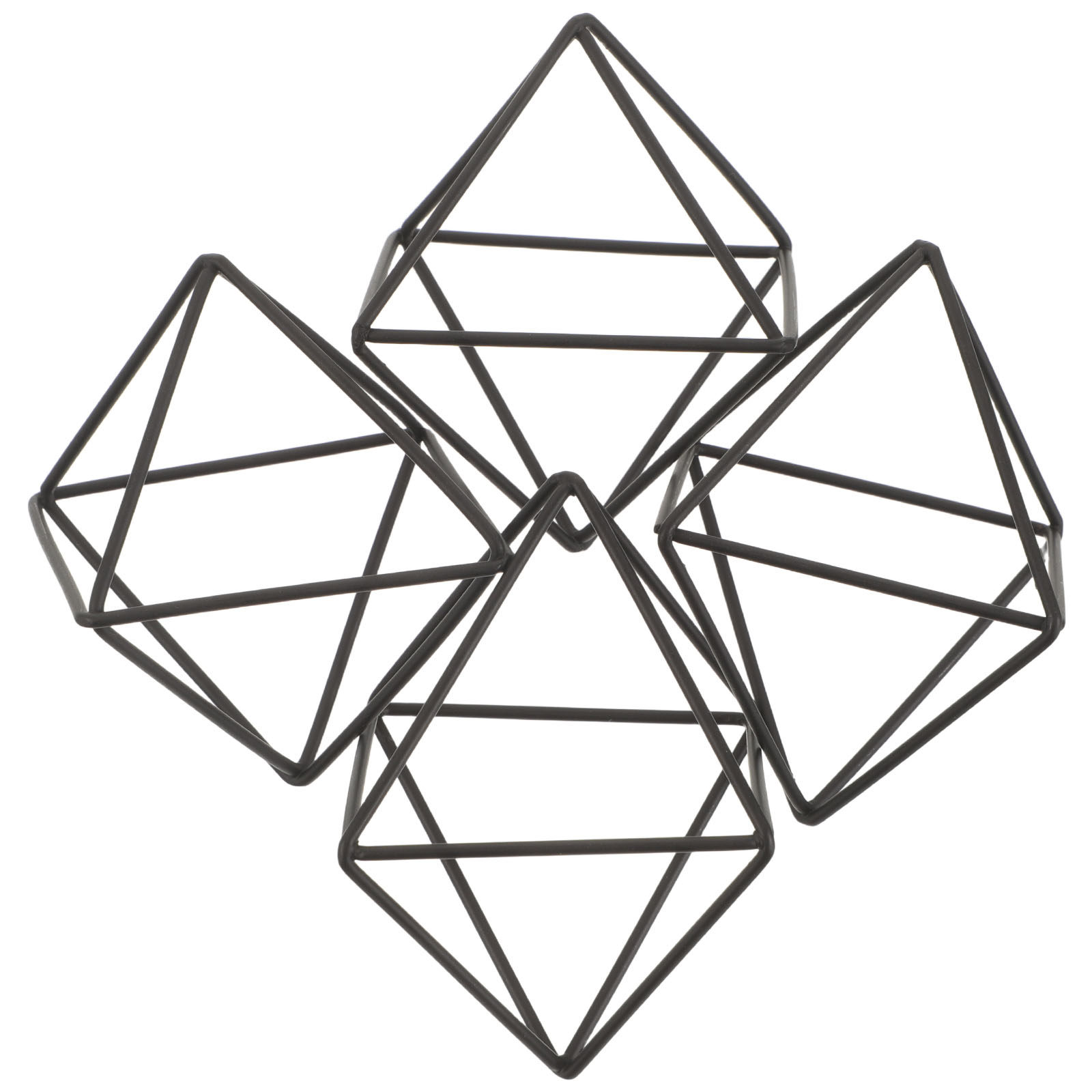 4 Stück Geometrische Luftpflan – Air Plant Tillandsia Bewertung und Preis