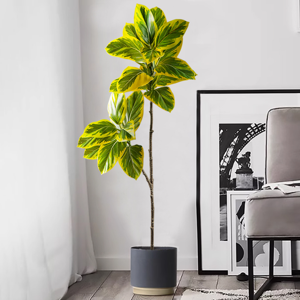 70–130 cm künstlicher Banyan-B – Rubber Plant Ficus Bewertung und Preis