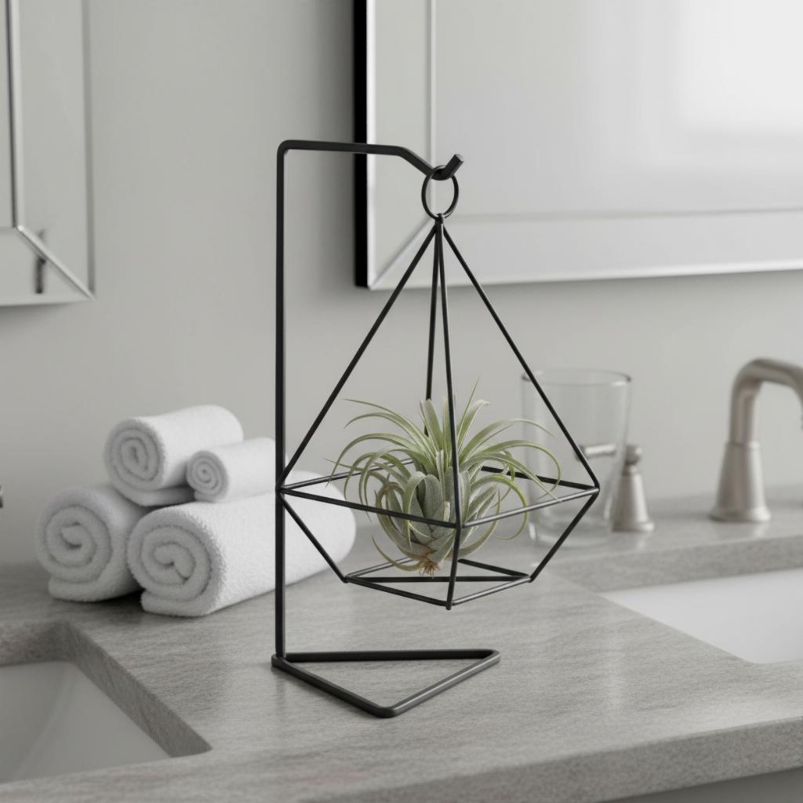 Geometrischer Luftpflanzenhalt – Air Plant Tillandsia Bewertung und Preis