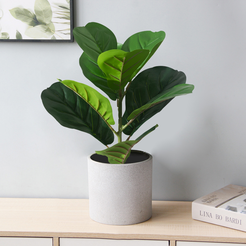 38 cm gefälschter Ficus-Baum,  – Rubber Plant Ficus Bewertung und Preis