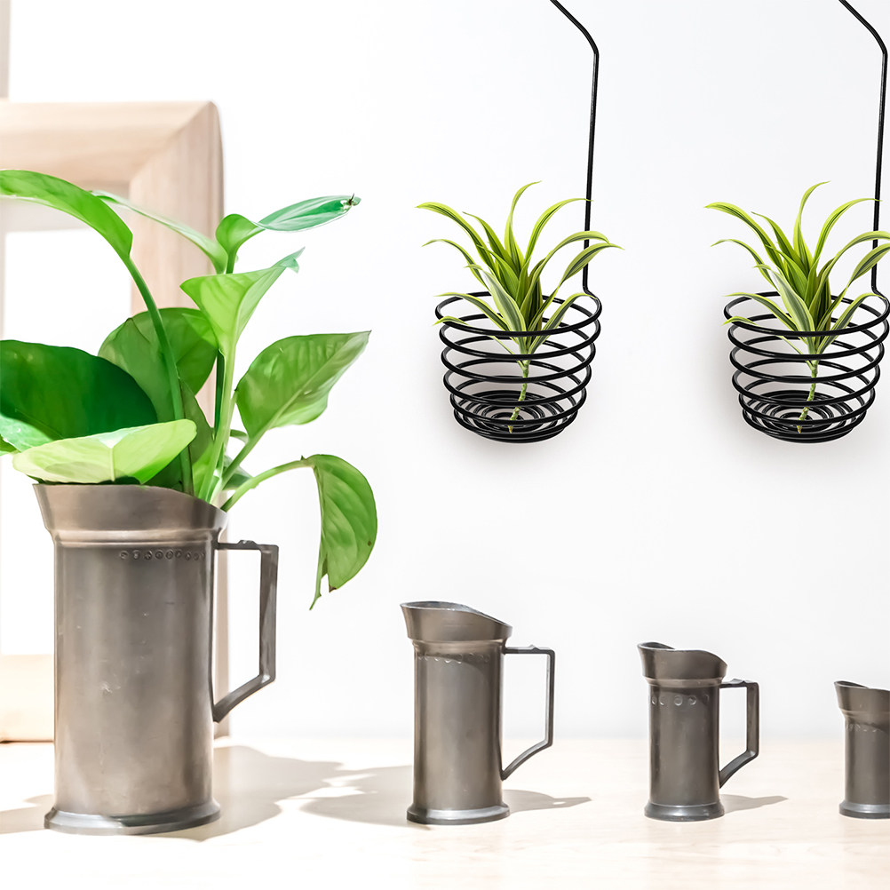 3 Stück Metall-Spiral-Luftpfla – Air Plant Tillandsia Bewertung und Preis