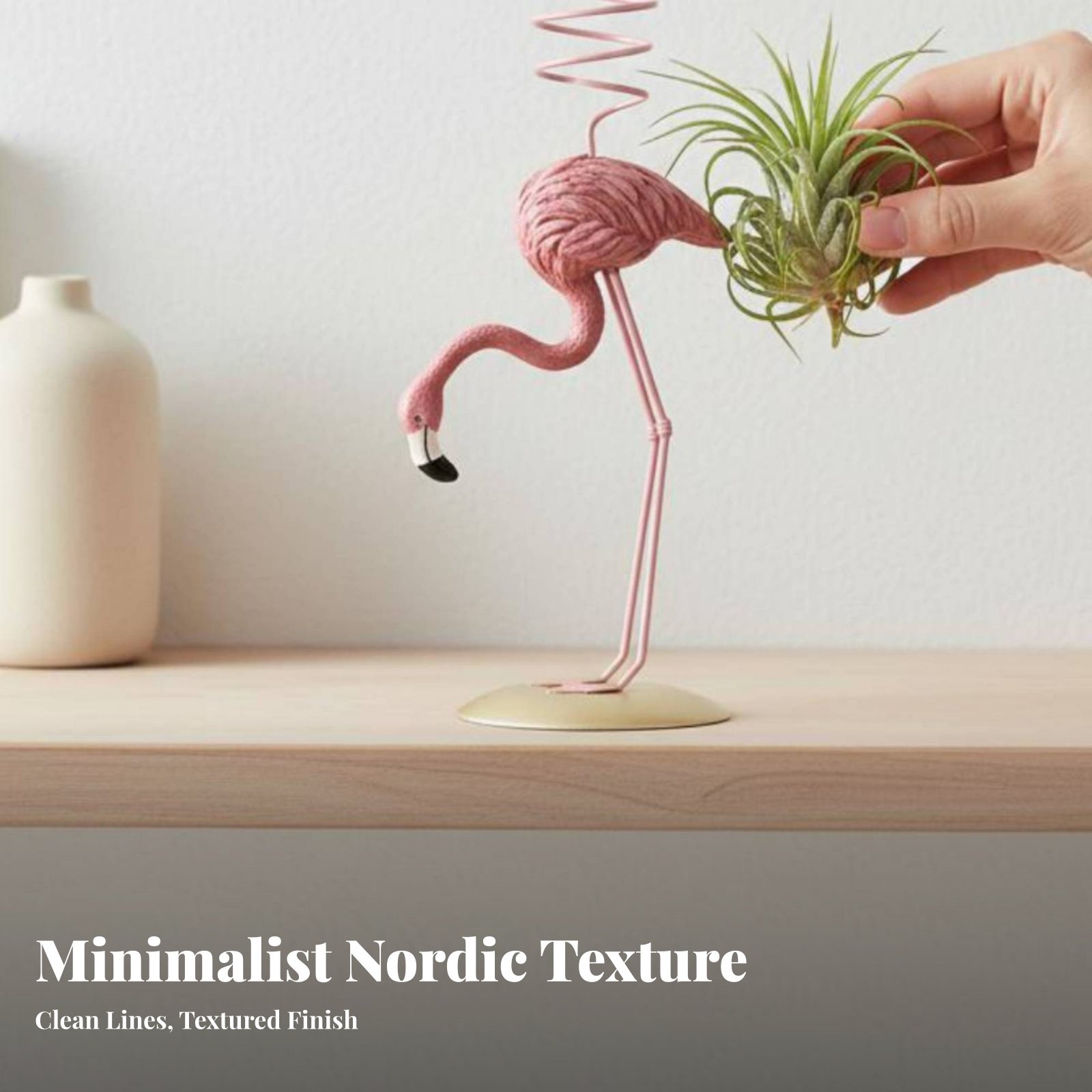 Geometrischer Tillandsia-Halte – Air Plant Tillandsia Bewertung und Preis